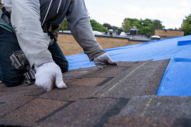 Best Commercial Roofing Services  in Canfield, OH